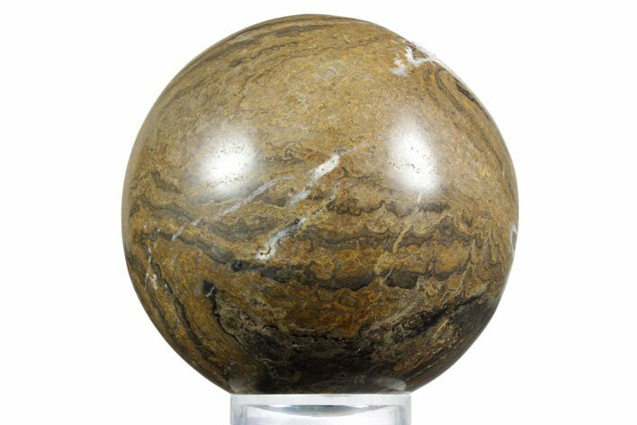 Polished Stromatolite (Greysonia) Sphere - Bolivia #355367